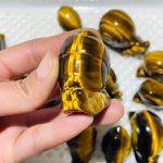 16-pieces-high-quality-tiger-eye-snails-carving-wholesale-crystals-609328.jpg