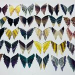 30-pairs-rainbow-fluorite-butterfly-carving-a3btf-447424