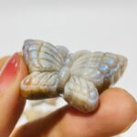 21-pieces-sunstone-mixed-moonstone-butterfly-carving-127926