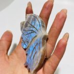 5-pairs-butterfly-wing-carving-with-stand-morocco-agate-moonstone-939740