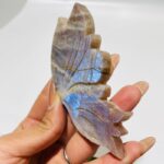 5-pairs-butterfly-wing-carving-with-stand-morocco-agate-moonstone-939740