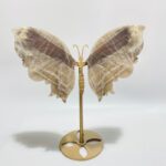 blue-moonstone-mixed-sunstone-butterfly-carving-with-stand-669140