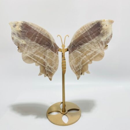 Blue Moonstone Mixed Sunstone Butterfly Carving With Stand