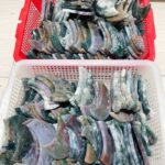 colorful-moss-agate-moon-carving-wholesale-566854