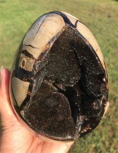 Septarian Dragon Stone VS Dragon Egg Stone: 2025