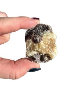 Raw Septarian: Unlocking the Power of a 2025 Discovery