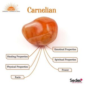 The Healing Benefits of Carnelian: 2025 and Beyond